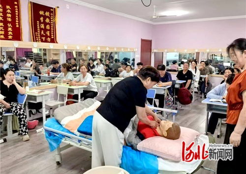 石家莊市橋西區 抓實技能培訓，賦能職工就業——市場調查服務助力就業新路徑